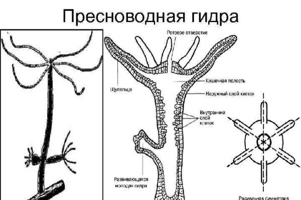 Кракен магазин krakens13 at