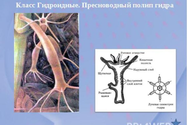 Кракен адрес сайта