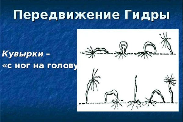 Кракен современный даркнет